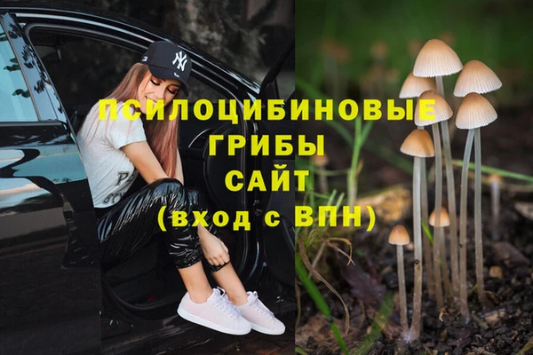 MDMA Premium VHQ Киреевск